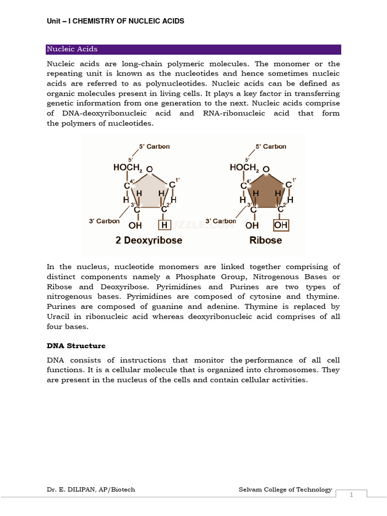 Chemistry of Nucleic Acids Overview | PDF | Rna | Dna