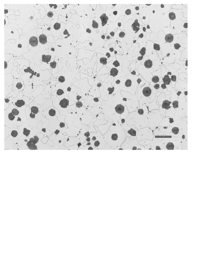 Micro Image | PDF