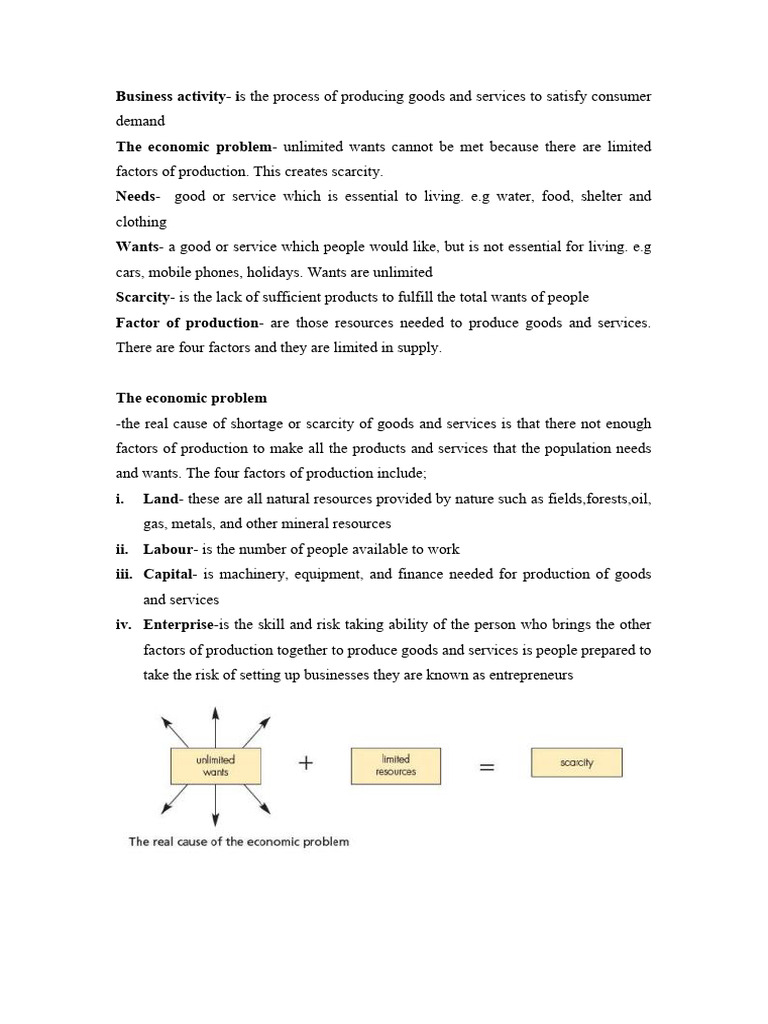 Business Activity Chapter 1 Notes | PDF | Goods | Prices