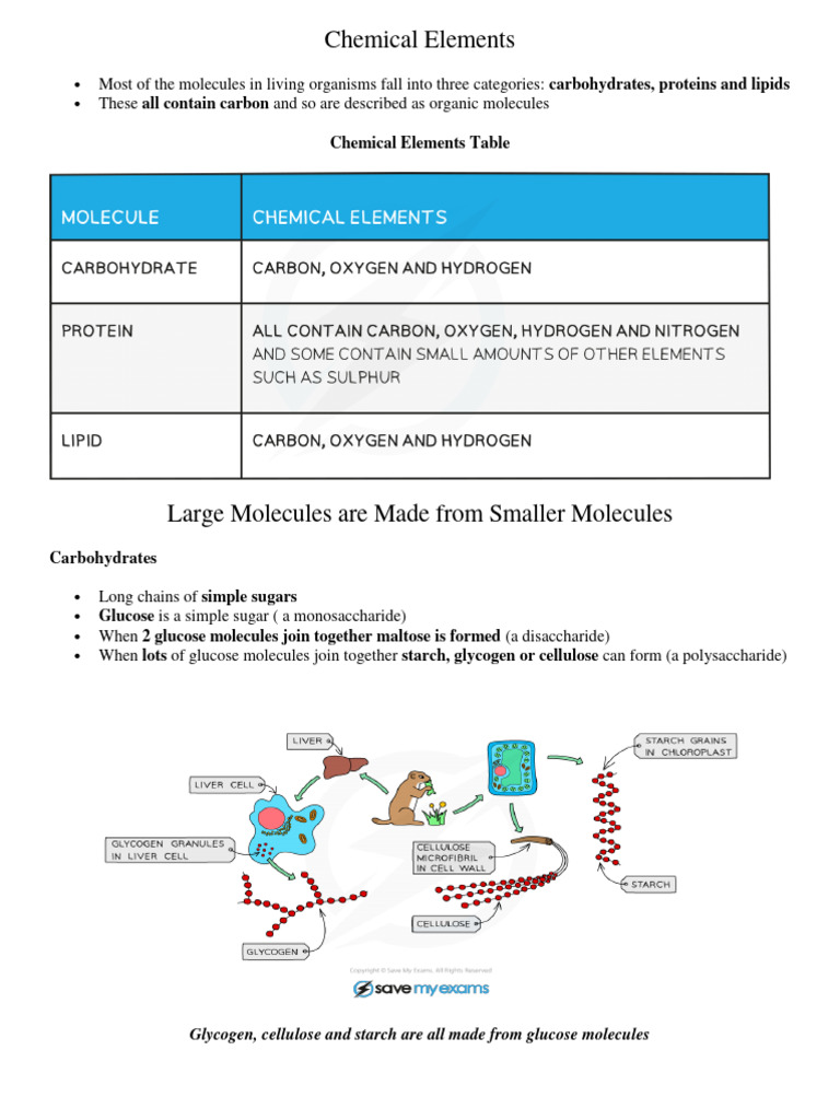Understanding Organic Molecules and Tests | PDF | Carbohydrates | Base Pair