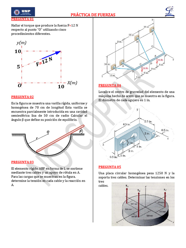 Práctica de Fuerzas y Torque en Física | PDF
