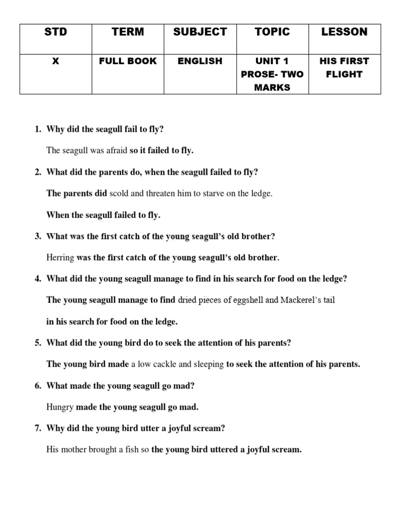 Summary Of Chapter His First Flight