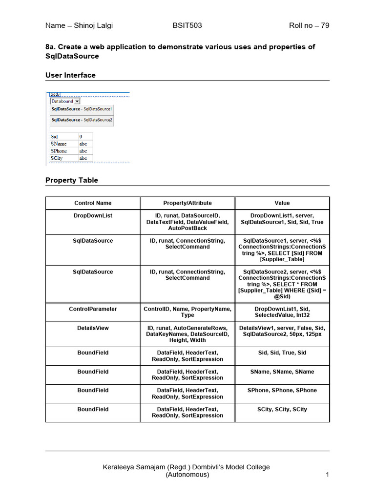 SQL Data Source Web Application Guide | PDF | Cyberspace | Computing