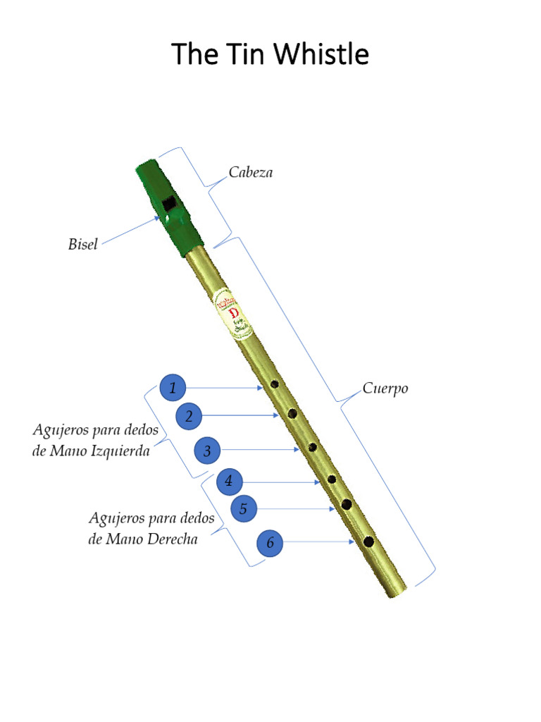 FD - ES - Bellas Artes - C3 - S07-12 - Partes de La Flauta - 2.0 | PDF