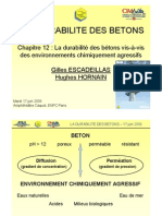 Ch12 La Durabilite Des Betons Vis-A-Vis Des Environnements Chimiquement Agressifs