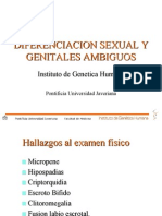 Diferenciacion Sexual y Genitales Ambiguos