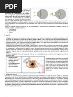 Fisiología Ocular