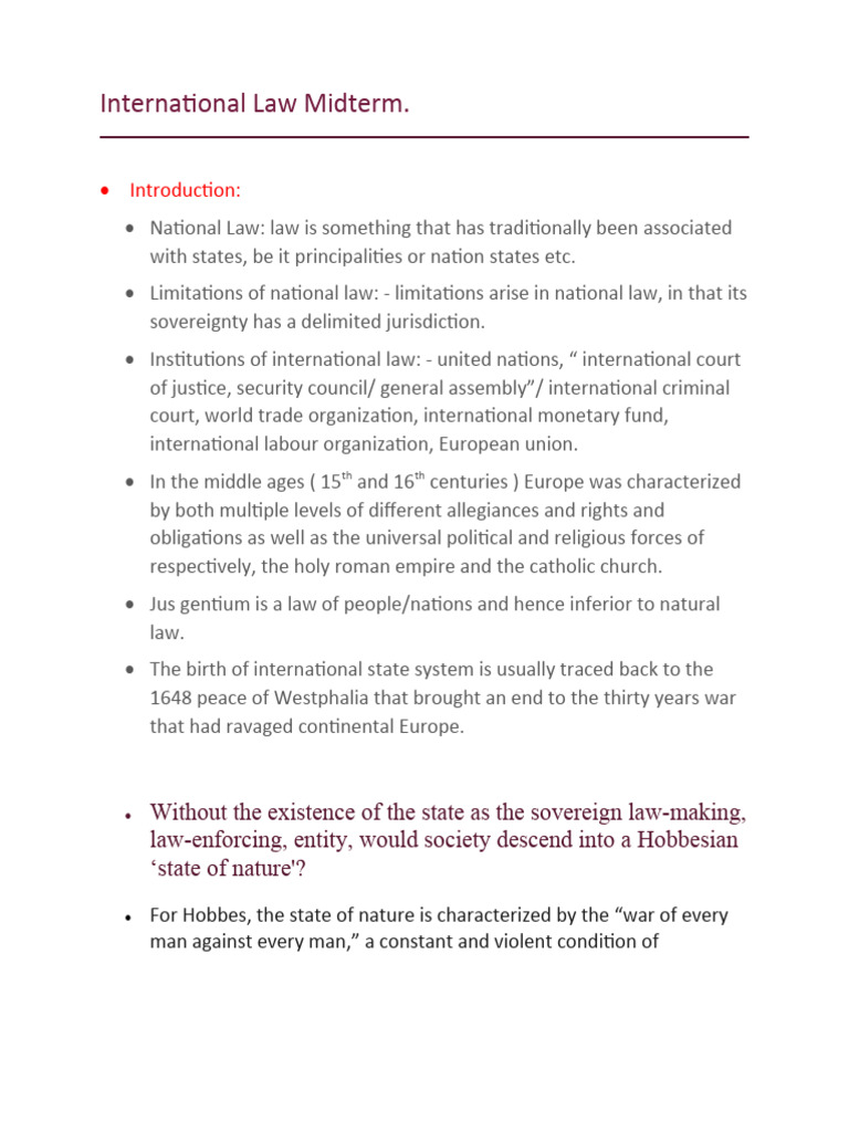 Overview of International Law Concepts | PDF | Treaty | International Law