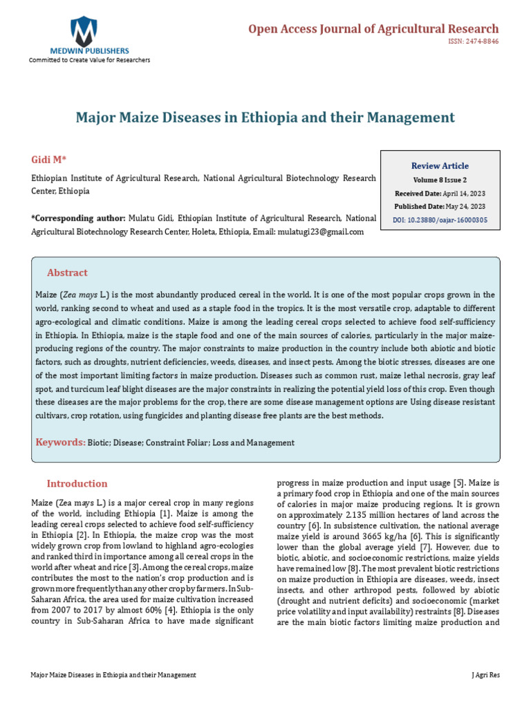 Maize Disease Management in Ethiopia | PDF | Maize | Agriculture