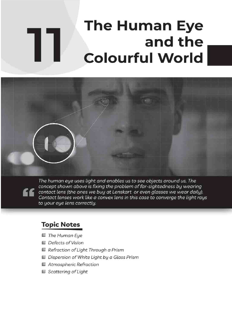 Human Eyes | PDF
