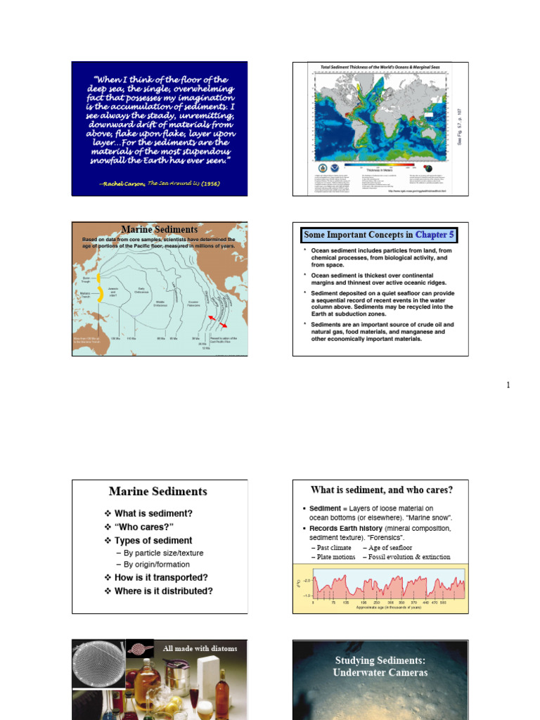 Marine Sediments Pdf Sediment Seabed