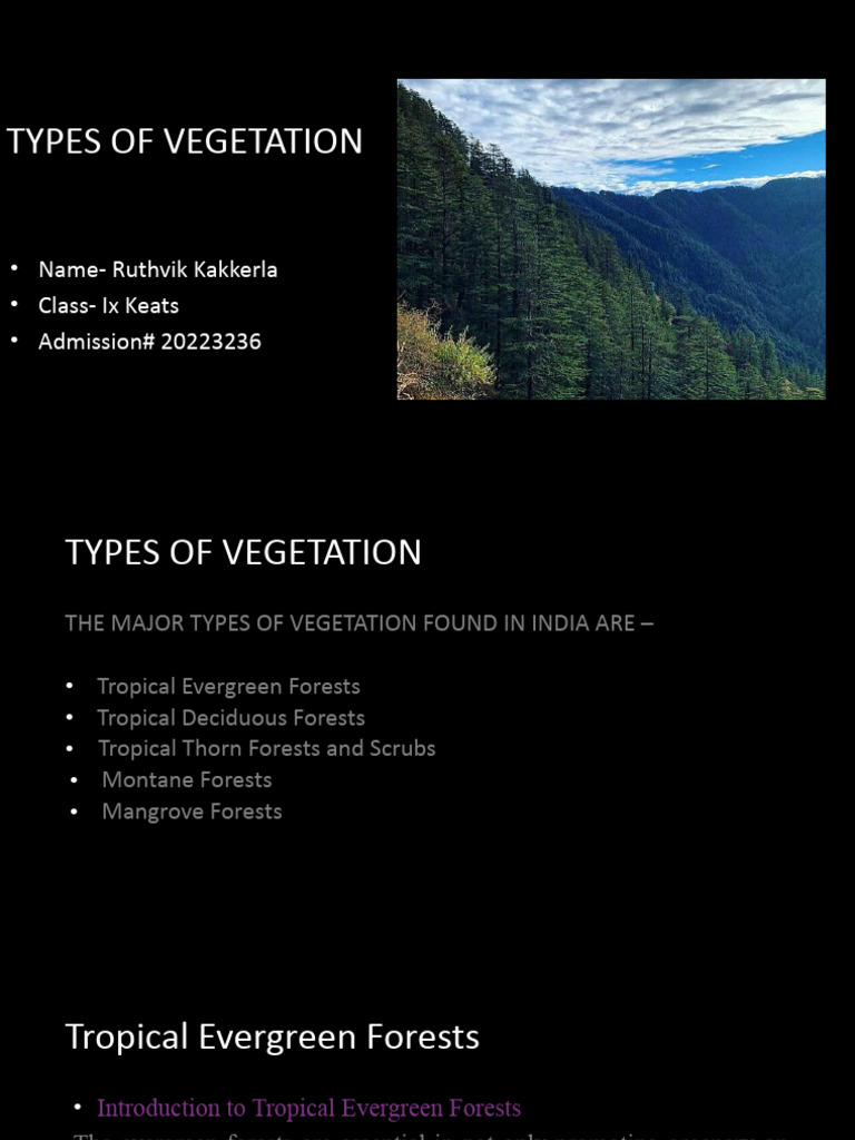 Types of Vegetation in India | PDF | Forests | Tropics