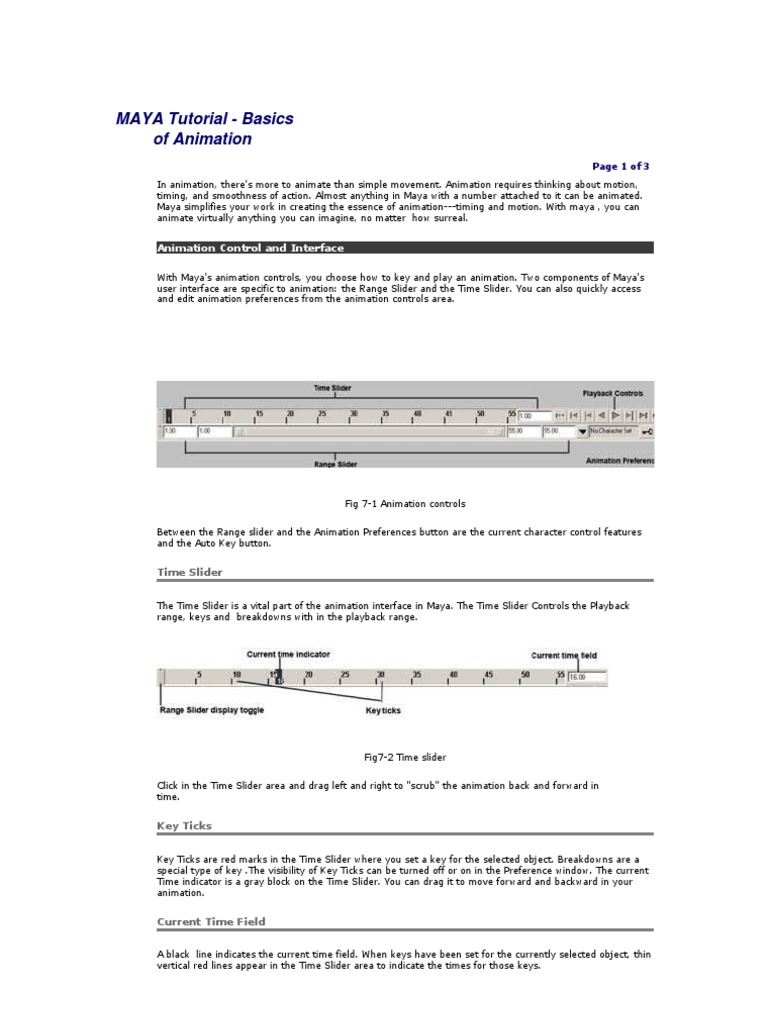 Differences Between Hardware and Software Rendering | PDF | Rendering ...