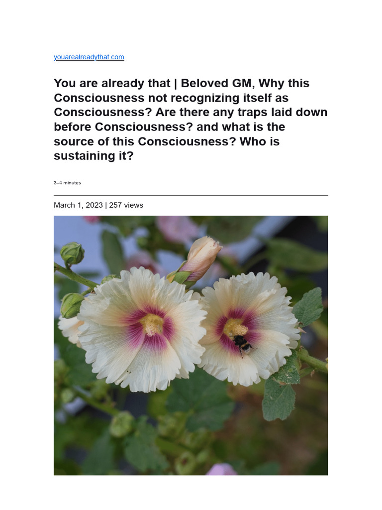 Understanding Consciousness and Awareness | PDF | Consciousness | Light