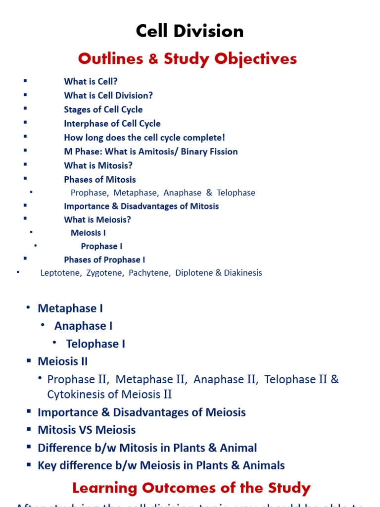Understanding Cell Division: Mitosis & Meiosis | PDF | Meiosis | Mitosis
