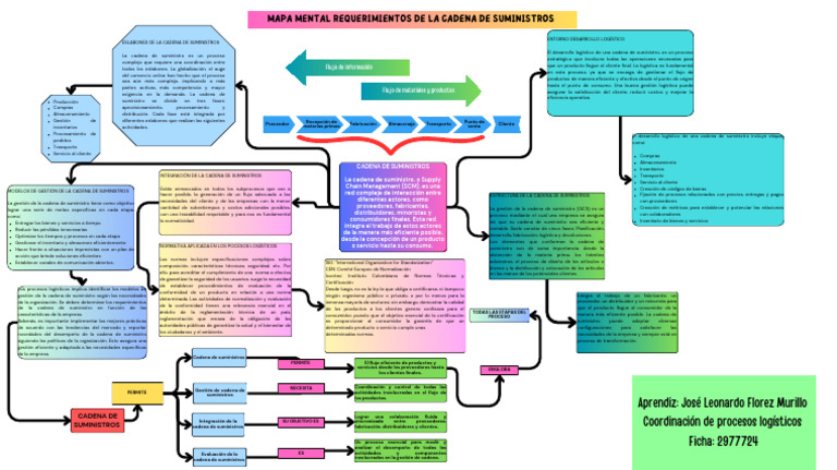 Mapa Mental de Requerimientos Logísticos | PDF | Cadena de suministro ...