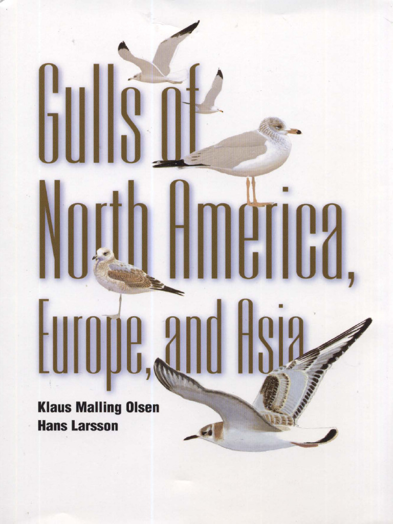 Gulls of North America, Europe, and Asia. K.M. Olsen, H. Larsson