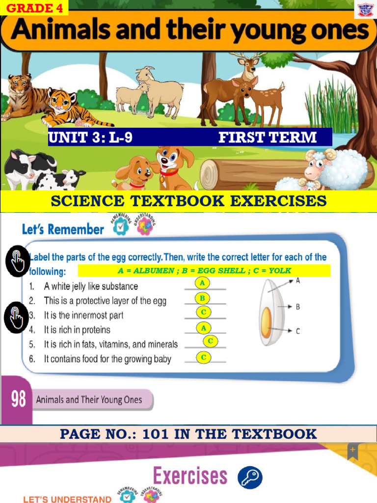 Grade 4 Science Unit 3 Exercises | PDF | Science & Mathematics