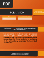 Qué Son Los POES y para Qué Son Necesarios | PDF | Seguridad ...