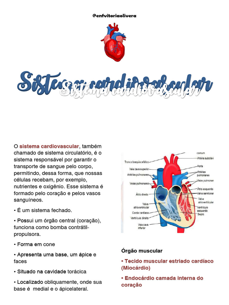 Estrutura e Função do Sistema Cardiovascular | PDF | Sistema ...