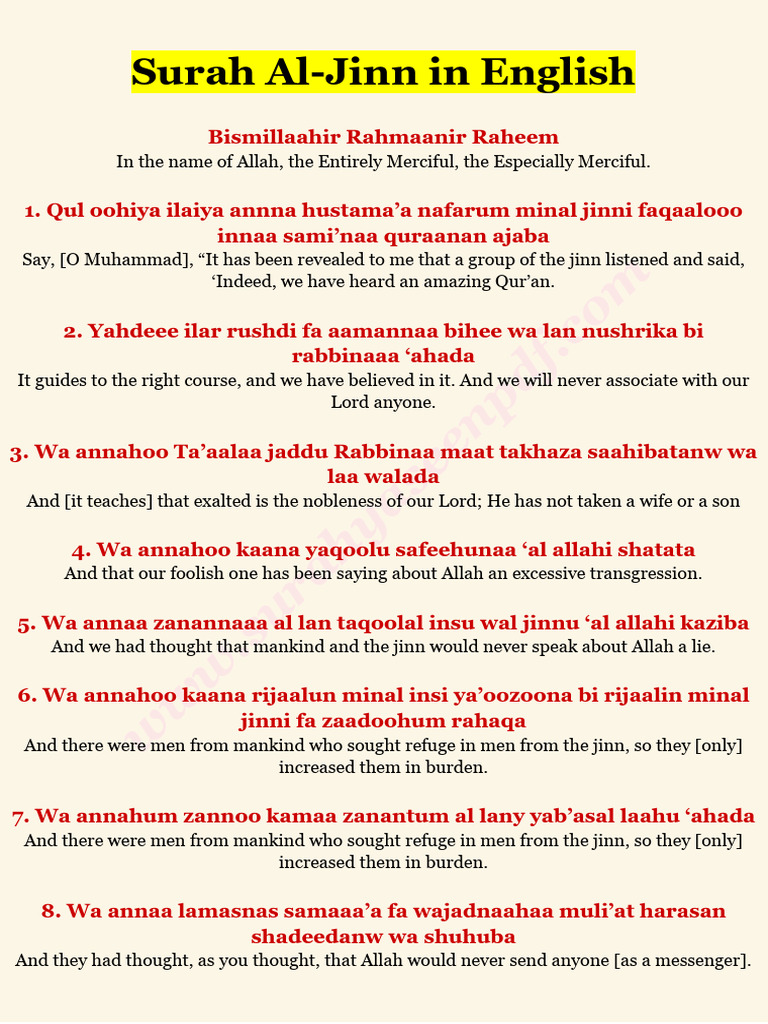 külotlu çorapda tukli mushuklar