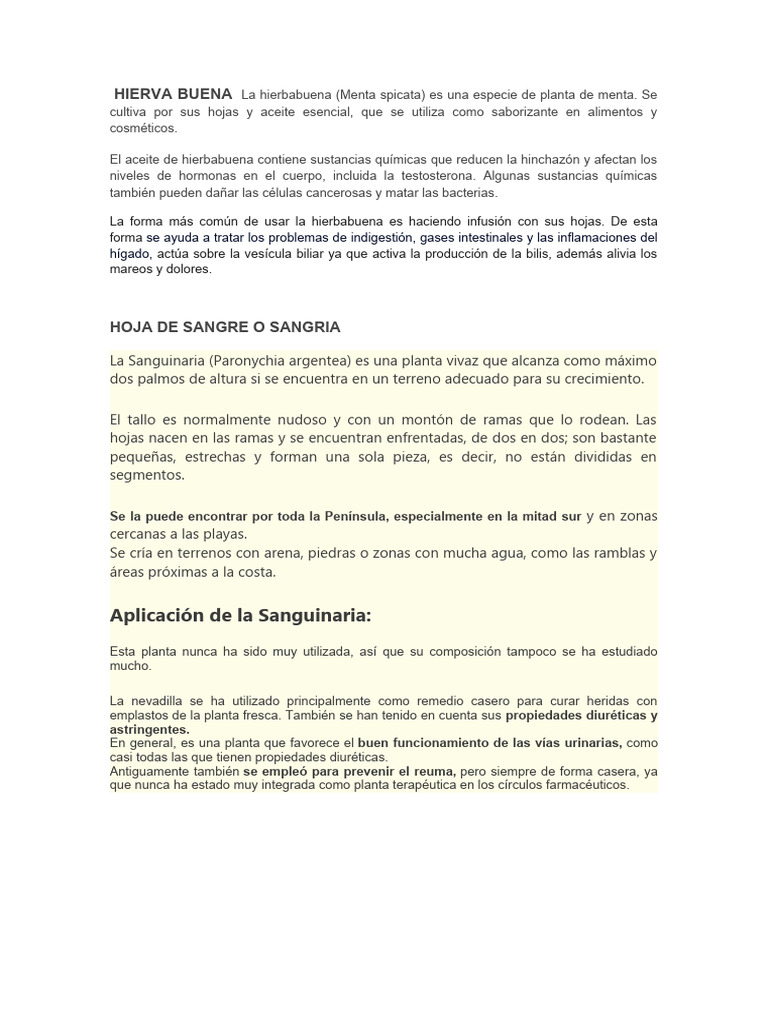 HIERVA BUENA La Hierbabuena | PDF