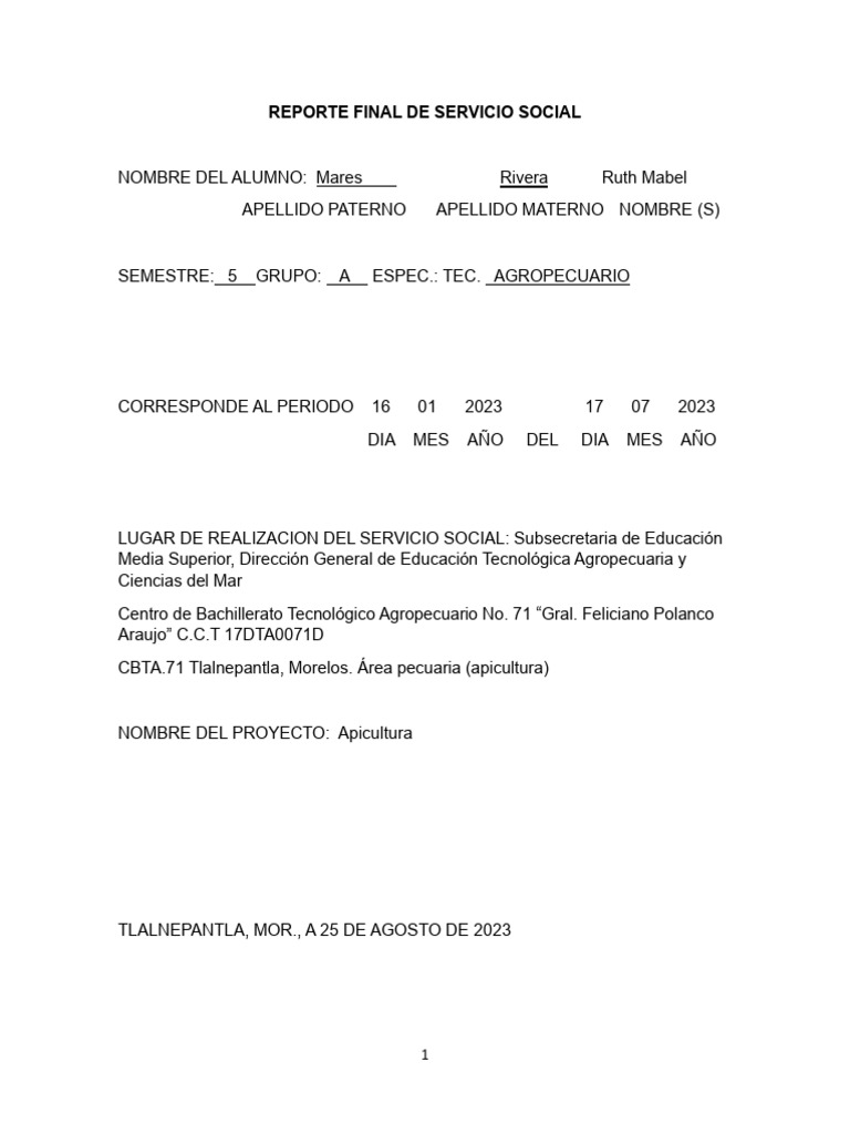 REPORTE FINAL DE SERVICIO SOCIA Ruth Mabel - 070433 | PDF | Índice de ...