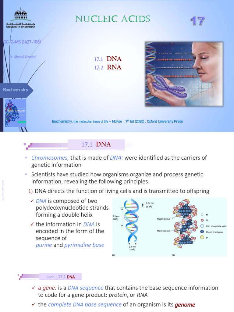 DNA Structure, Function, and Mutations | PDF | Rna | Dna