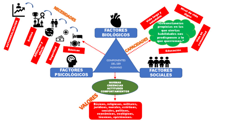 Mapa mental Componentes del ser humano | PDF
