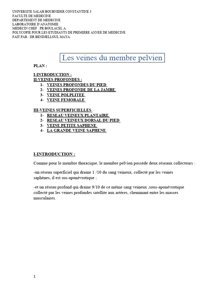 Anatomie des veines pelviennes PDF Jambe humaine Pied — free download