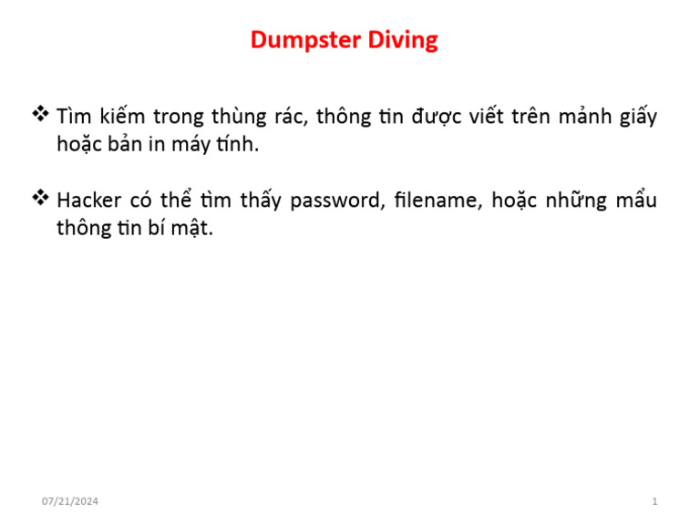 Dumpster Diving PDF