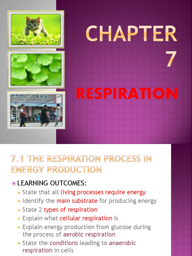 Respiration Chapter 7 Biology Form 4 | Cellular ...
