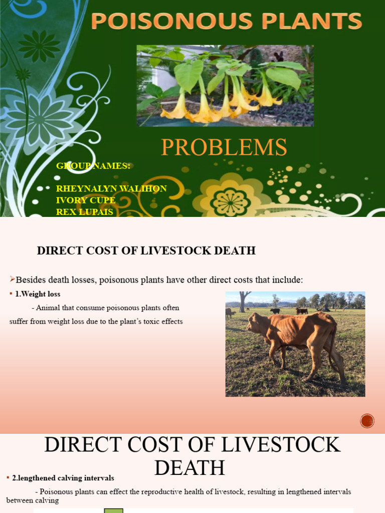 Poisonous Plants Problems | PDF | Poison | Grazing