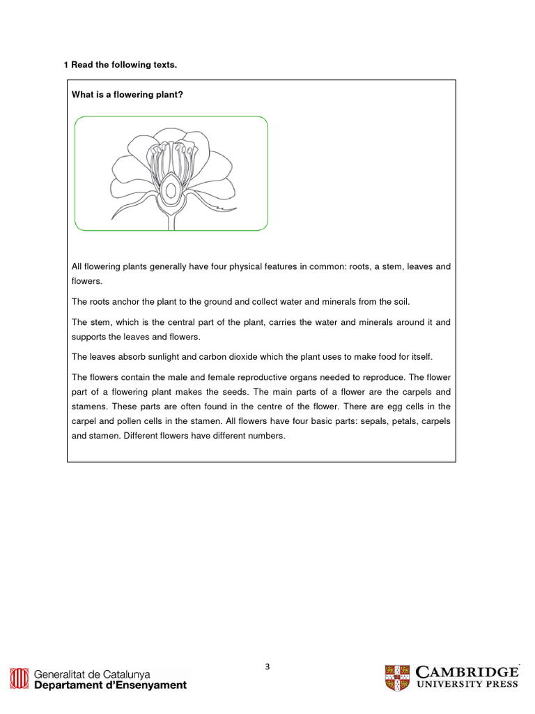 Flowering Plants-3 | PDF | Home & Garden | Wellness
