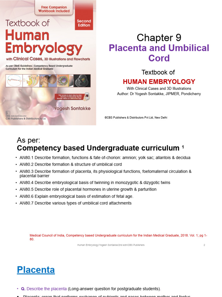 Placenta and Umbilical Cord Overview | PDF | Placenta | Anatomy