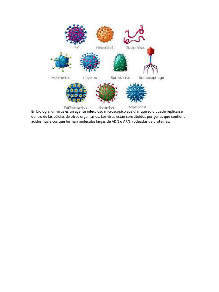 Virus: Agentes infecciosos microscópicos | PDF