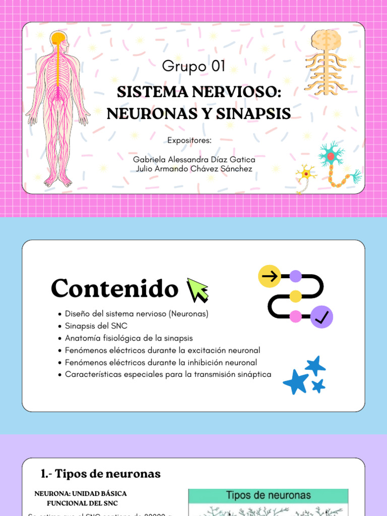 Neronas y La Sinapsis | PDF | Sinapsis | Neurona