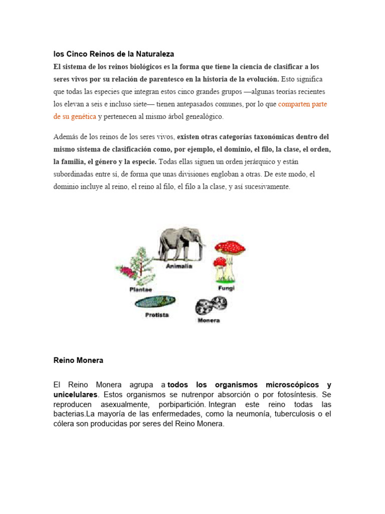 Clasificación de los Reinos Naturales | PDF | Moluscos | Esponja