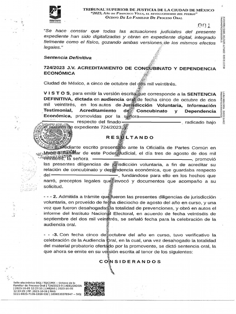Formato de Sentencia Definitiva | PDF