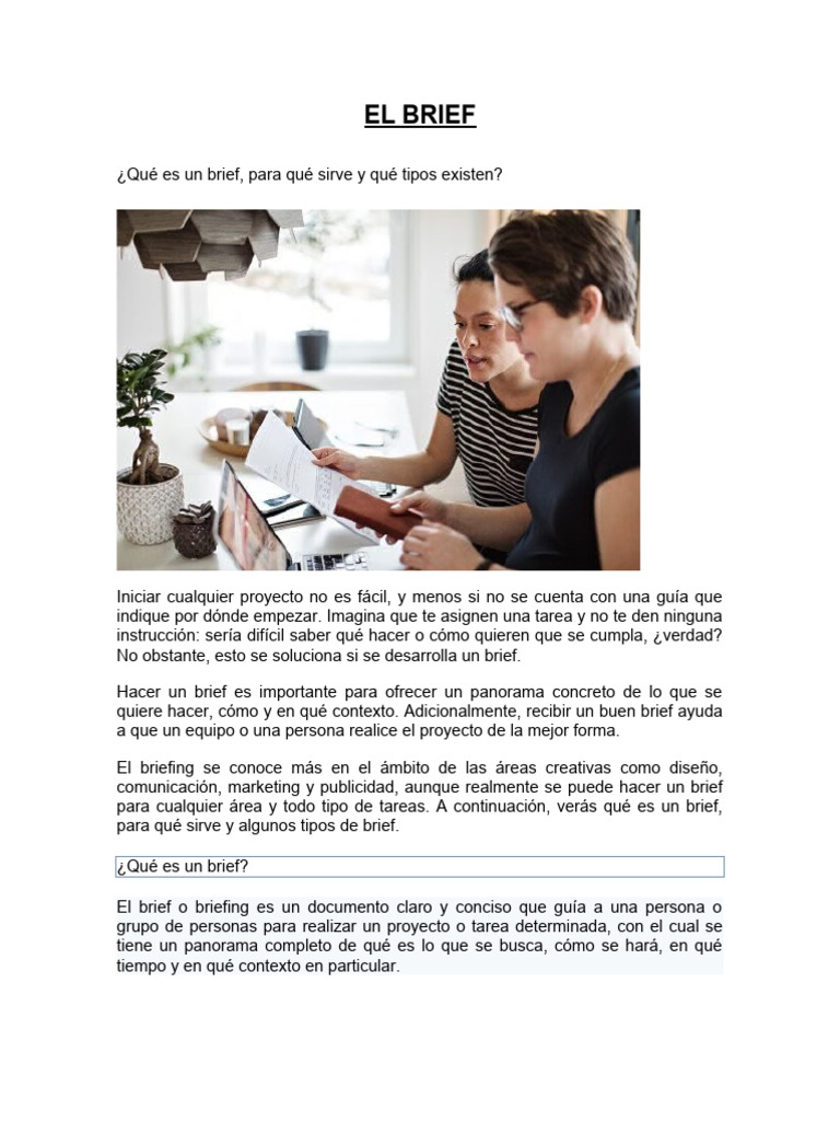 BRIEF DEFINICION visual data 6