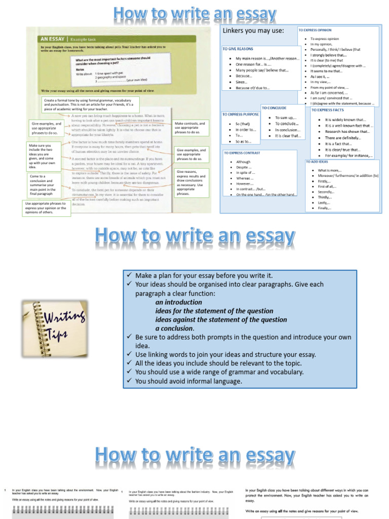 How To Write An Essay | PDF