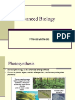 Photosynthesis