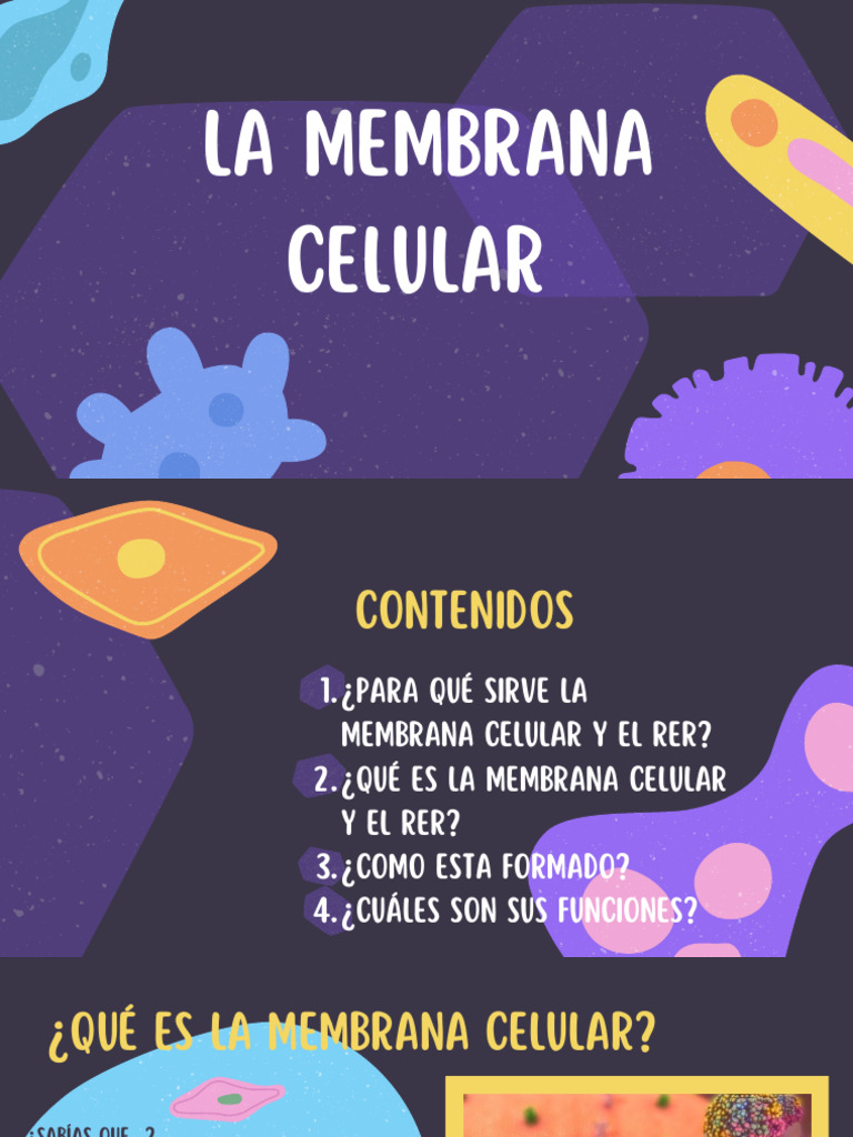 funciones-de-la-membrana-y-rer-pdf-membrana-celular-ret-culo