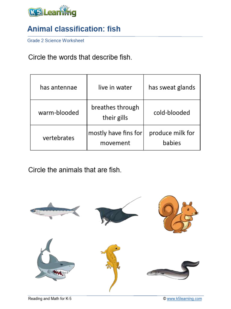 Fish | PDF