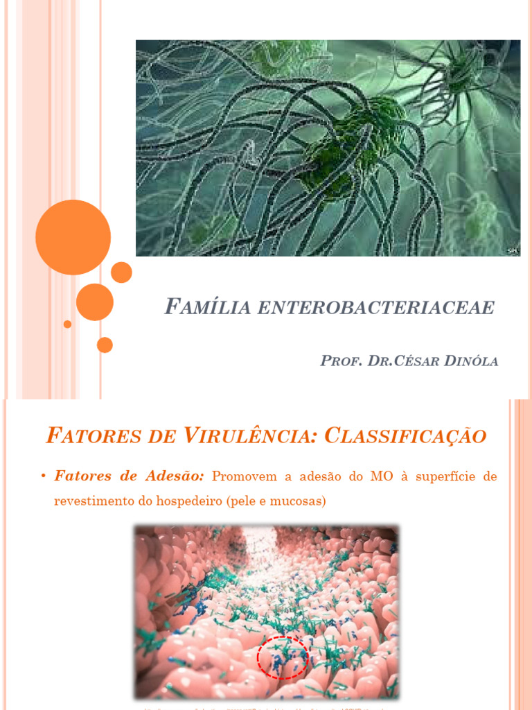 Fatores de Virulência Enterobacteriaceae | PDF | Escherichia Coli ...
