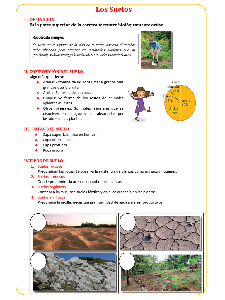 Los Suelos | PDF | Hogar, jardinería y bricolaje | Ciencia y matemáticas