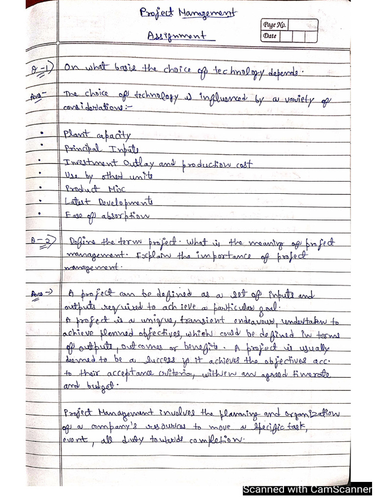 Project Management | PDF
