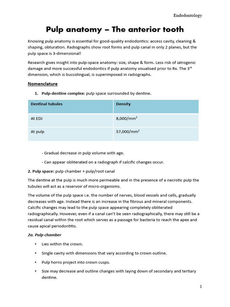Pulp Anatomy | PDF | Dental Anatomy | Tooth