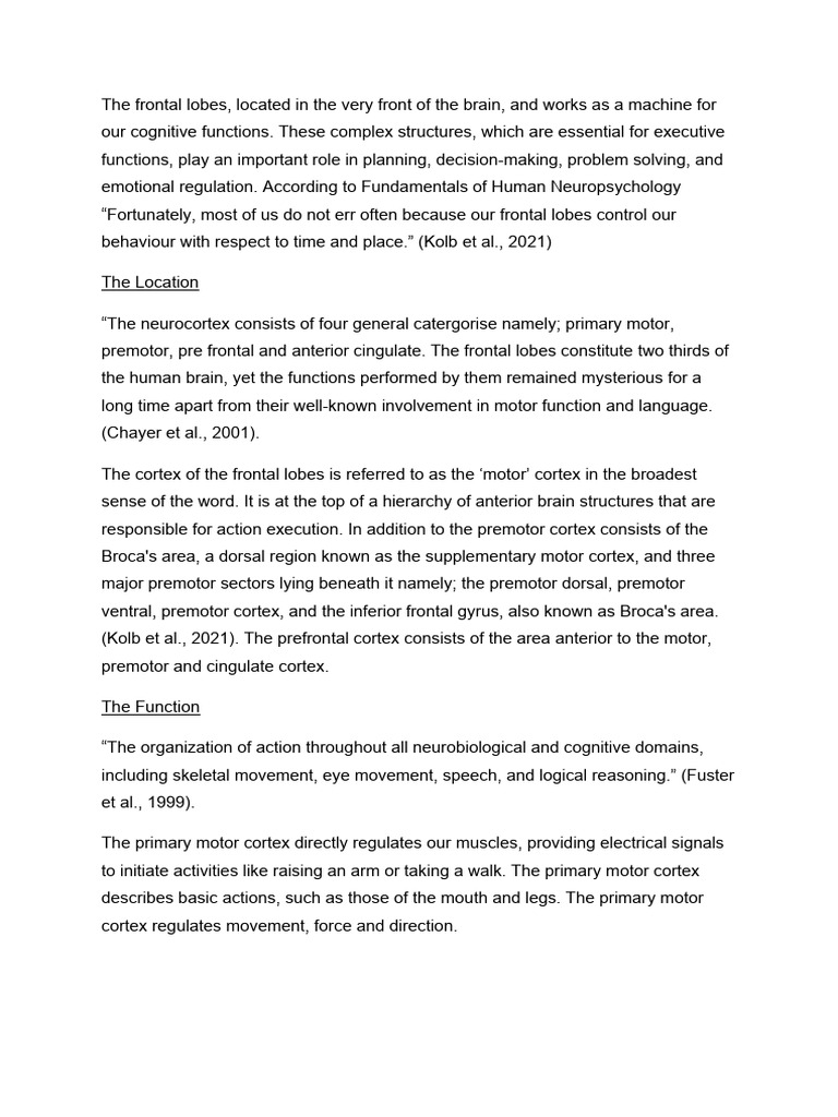 Understanding the Frontal Lobe Functions | PDF | Prefrontal Cortex ...