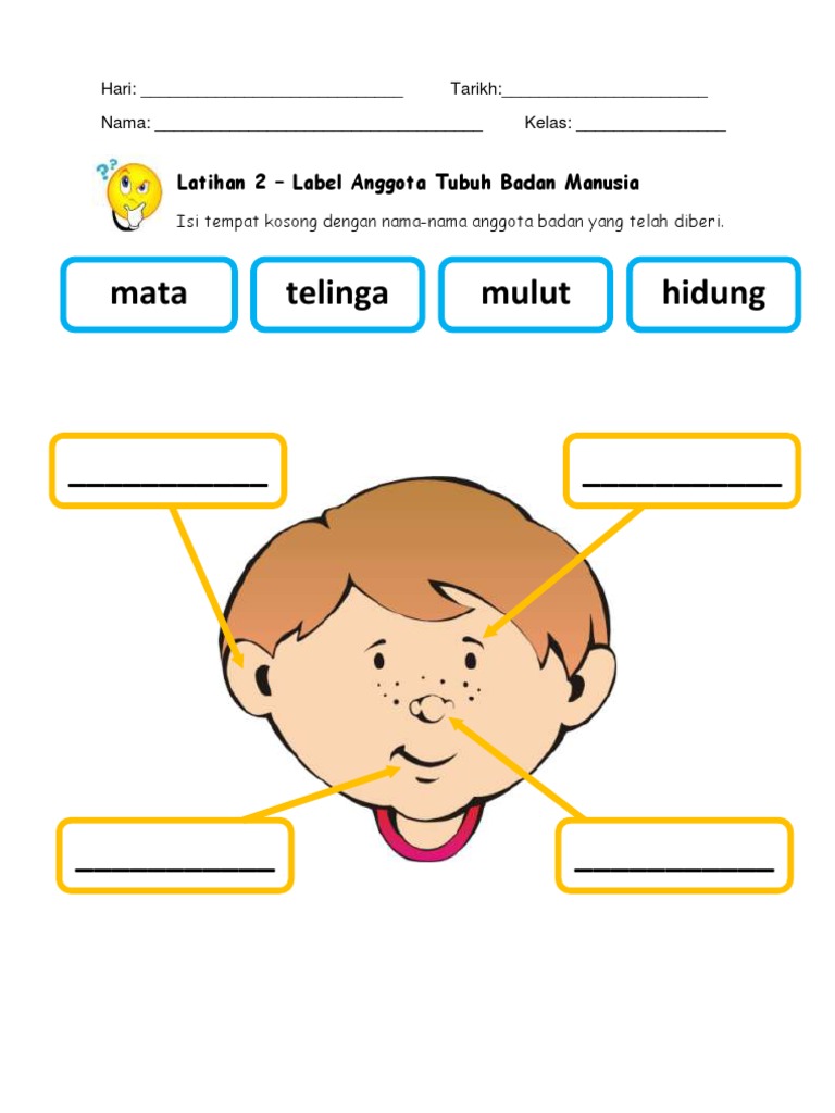 Label Anggota Badan Manusia Pdf
